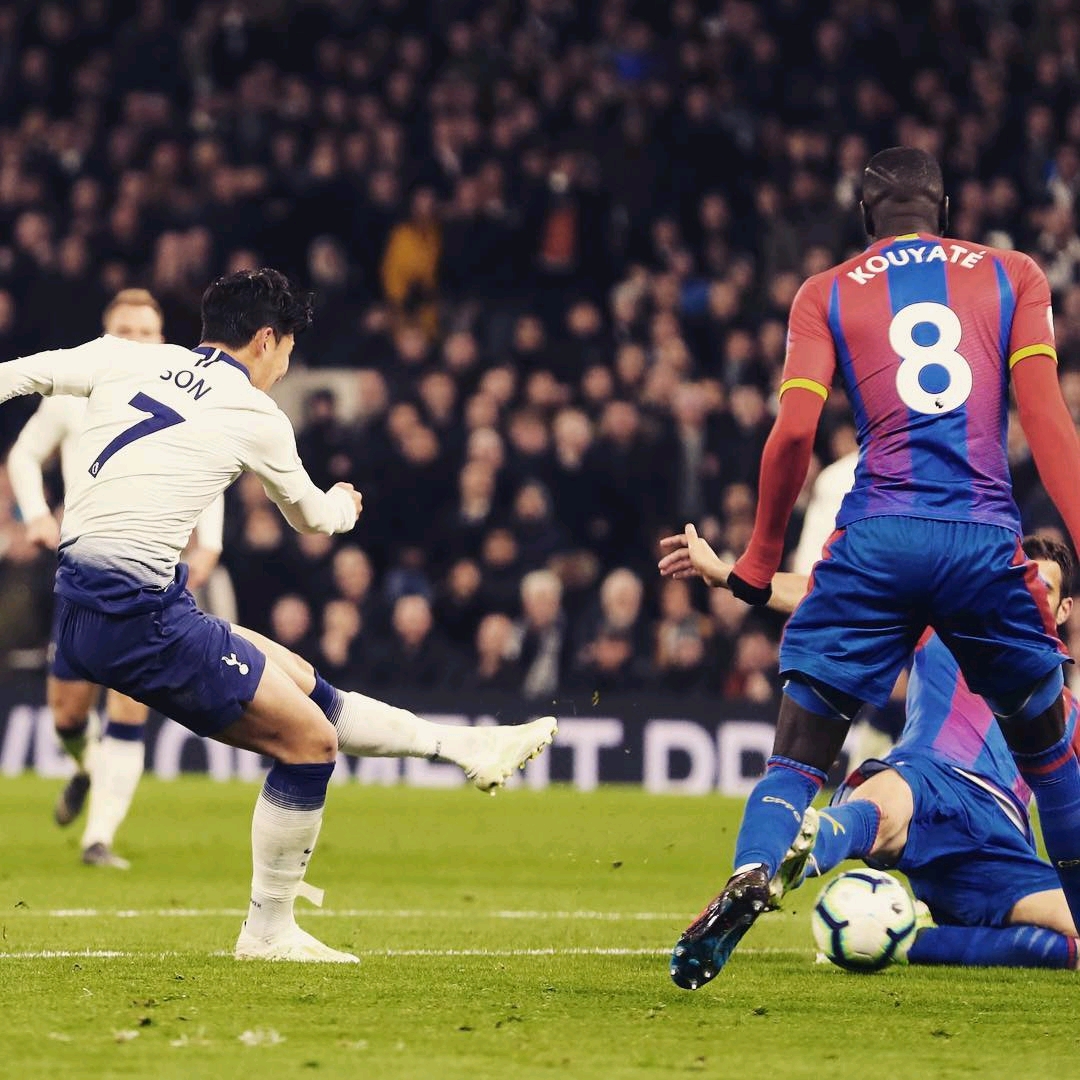 乏足够的尊 乏足够的尊